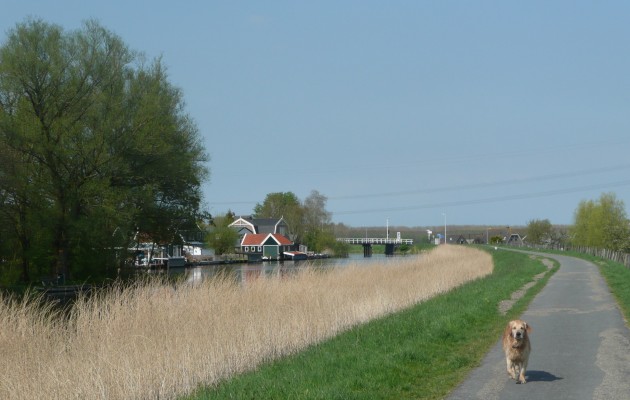 Purmerdijkje bij Ilpendam